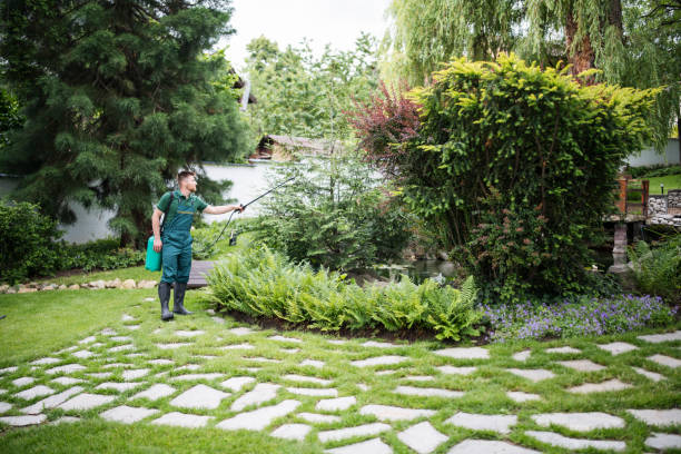 Best Mosquito Control Services  in Firestone, CO