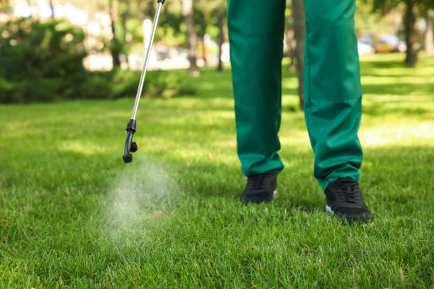 Best Flea Control Services  in Firestone, CO